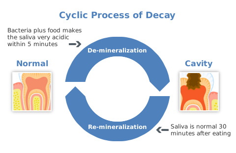 cyclic-process-of-decay